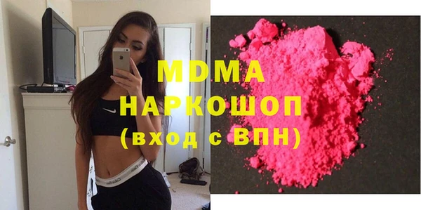 молекула духа Богданович